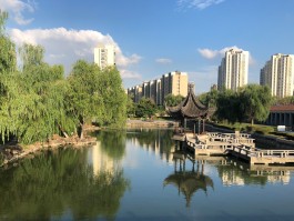 Institut für Internationale Bildungskooperation an der Hochschule Merseburg gGmbH (IBK)