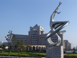 Institut für Internationale Bildungskooperation an der Hochschule Merseburg gGmbH (IBK)