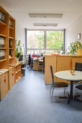 Institut für Internationale Bildungskooperation an der Hochschule Merseburg gGmbH (IBK)