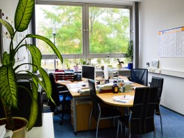 Institut für Internationale Bildungskooperation an der Hochschule Merseburg gGmbH (IBK)