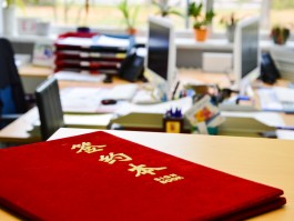 Institut für Internationale Bildungskooperation an der Hochschule Merseburg gGmbH (IBK)