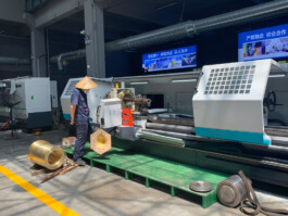 Institut für Internationale Bildungskooperation an der Hochschule Merseburg gGmbH (IBK)