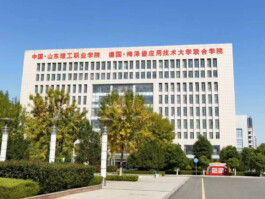 Institut für Internationale Bildungskooperation an der Hochschule Merseburg gGmbH (IBK)